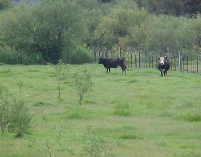 1837 Gamble Trail, Camp Verde, AZ 86322