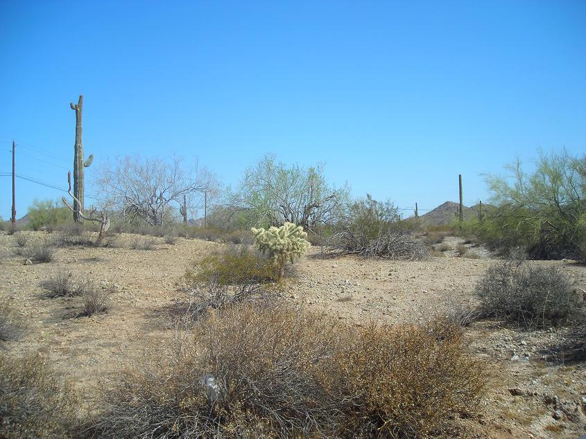 28960 N Brenner Pass Rd. #001, Queen Creek, AZ 85144