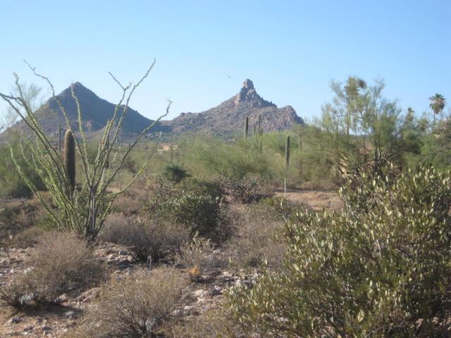 10224 E Pinnacle Peak Rd. #13, Scottsdale, AZ 85255