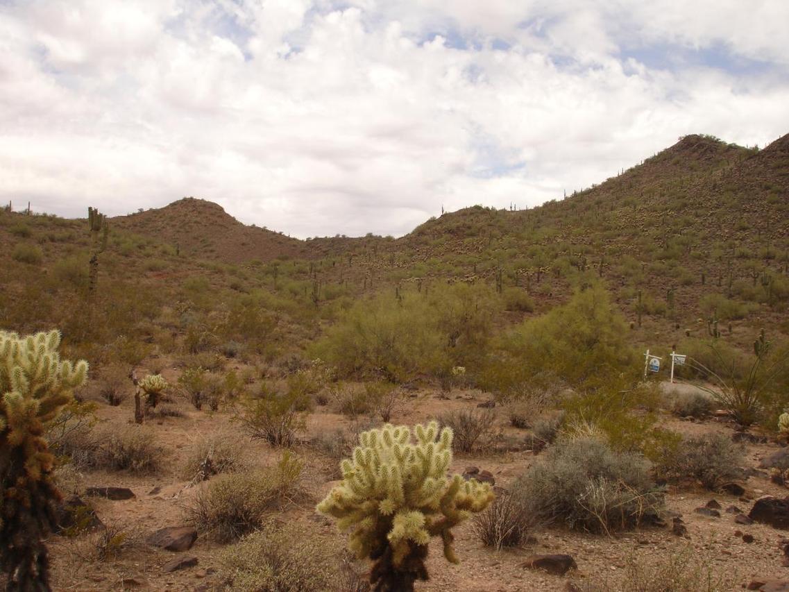 350xx N 17th Ave. #1, Phoenix, AZ 85086