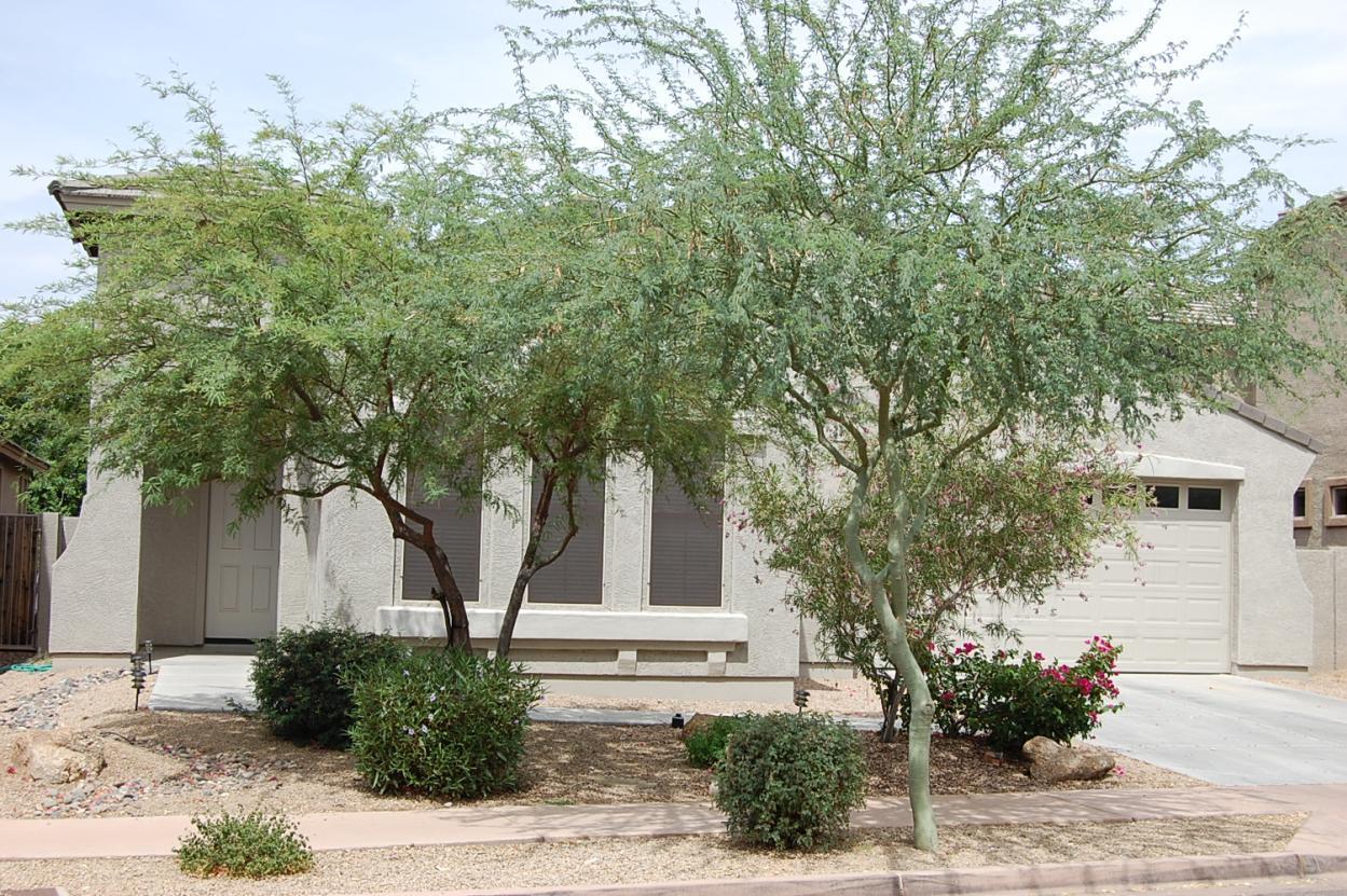 35422 N 31st Dr., Phoenix, AZ 85086