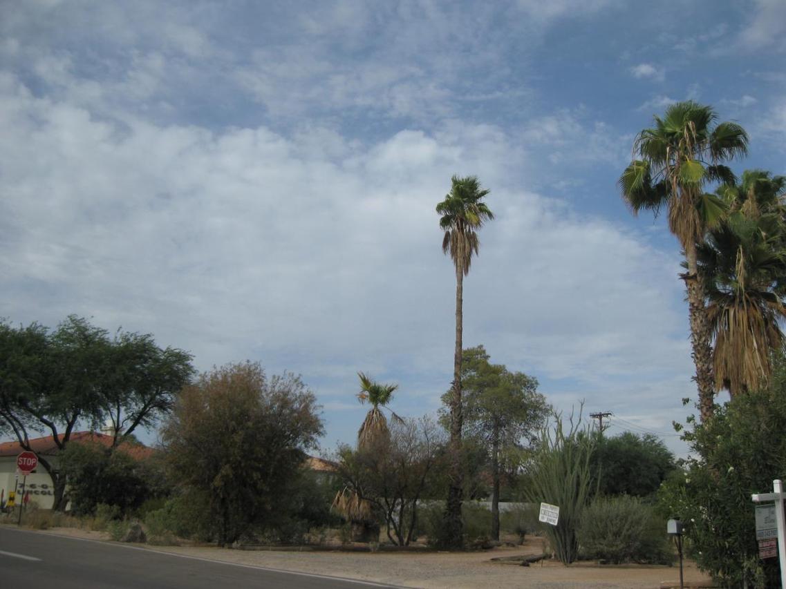 6445 N Miller Rd. #n/a, Scottsdale, AZ 85250