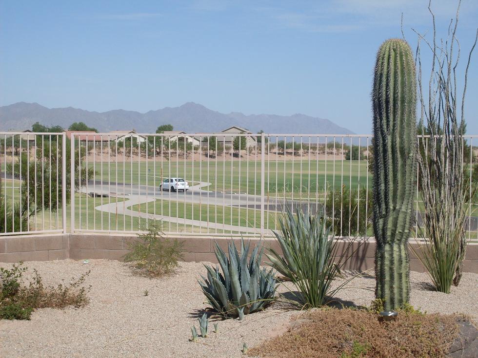 22580 N Reinbold Dr., Maricopa, AZ 85138