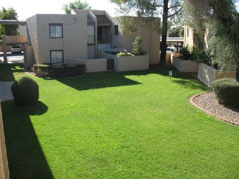 3313 N 68th St. #206, Scottsdale, AZ 85251