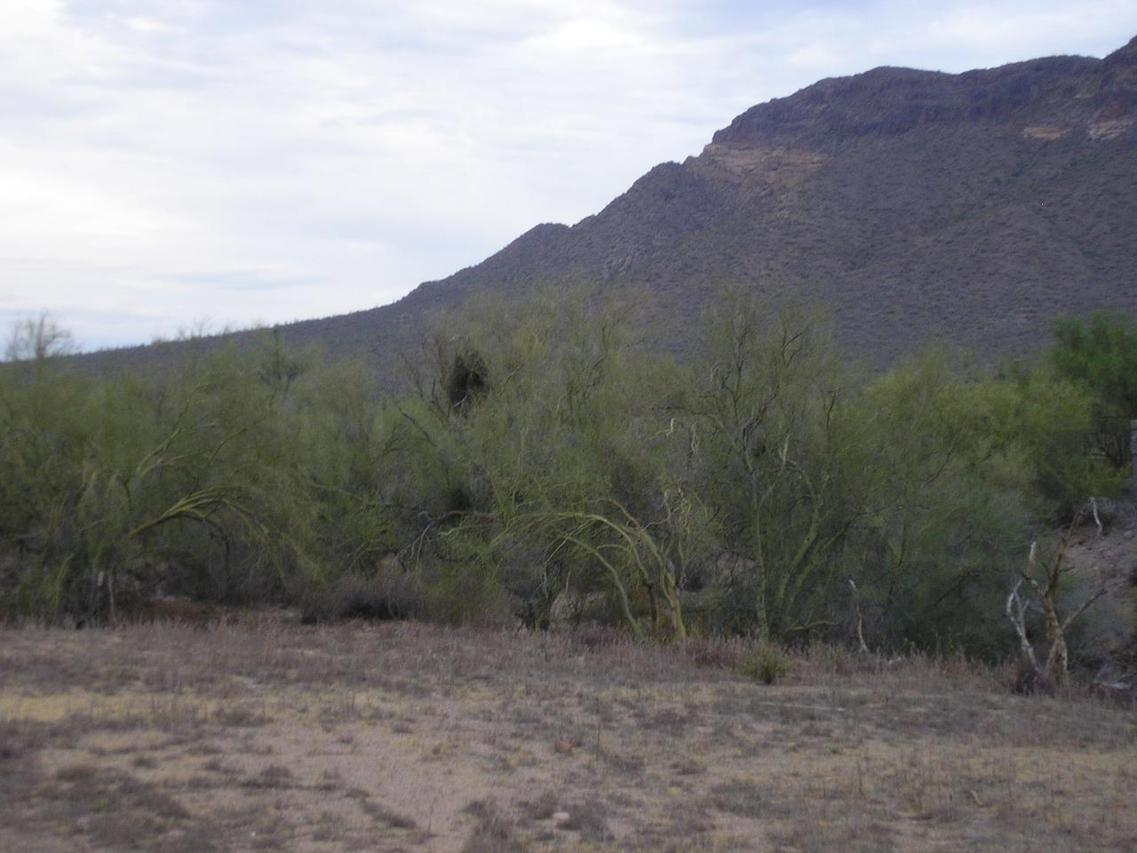 1907 N 105th St., Mesa, AZ 85207