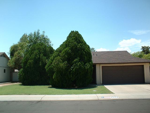 1523 W Loughlin Dr., Chandler, AZ 85224