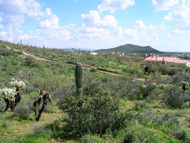 E Yaqui Ln. #B, Gold Canyon, AZ 85218