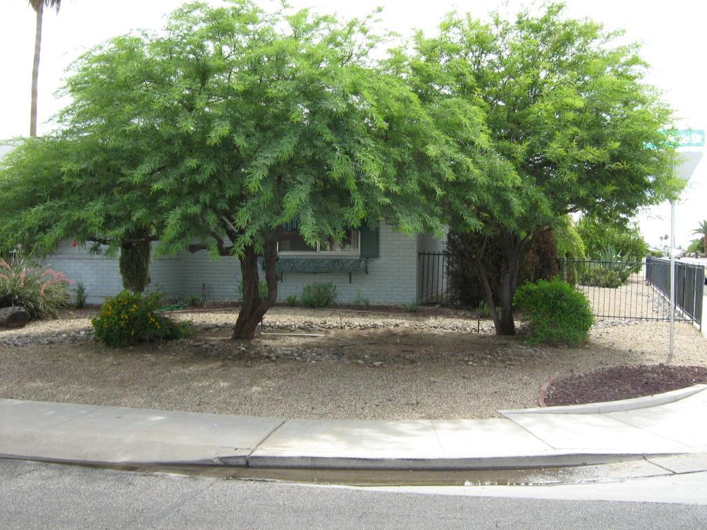 18411 N Palo Verde Dr., Sun City, AZ 85373