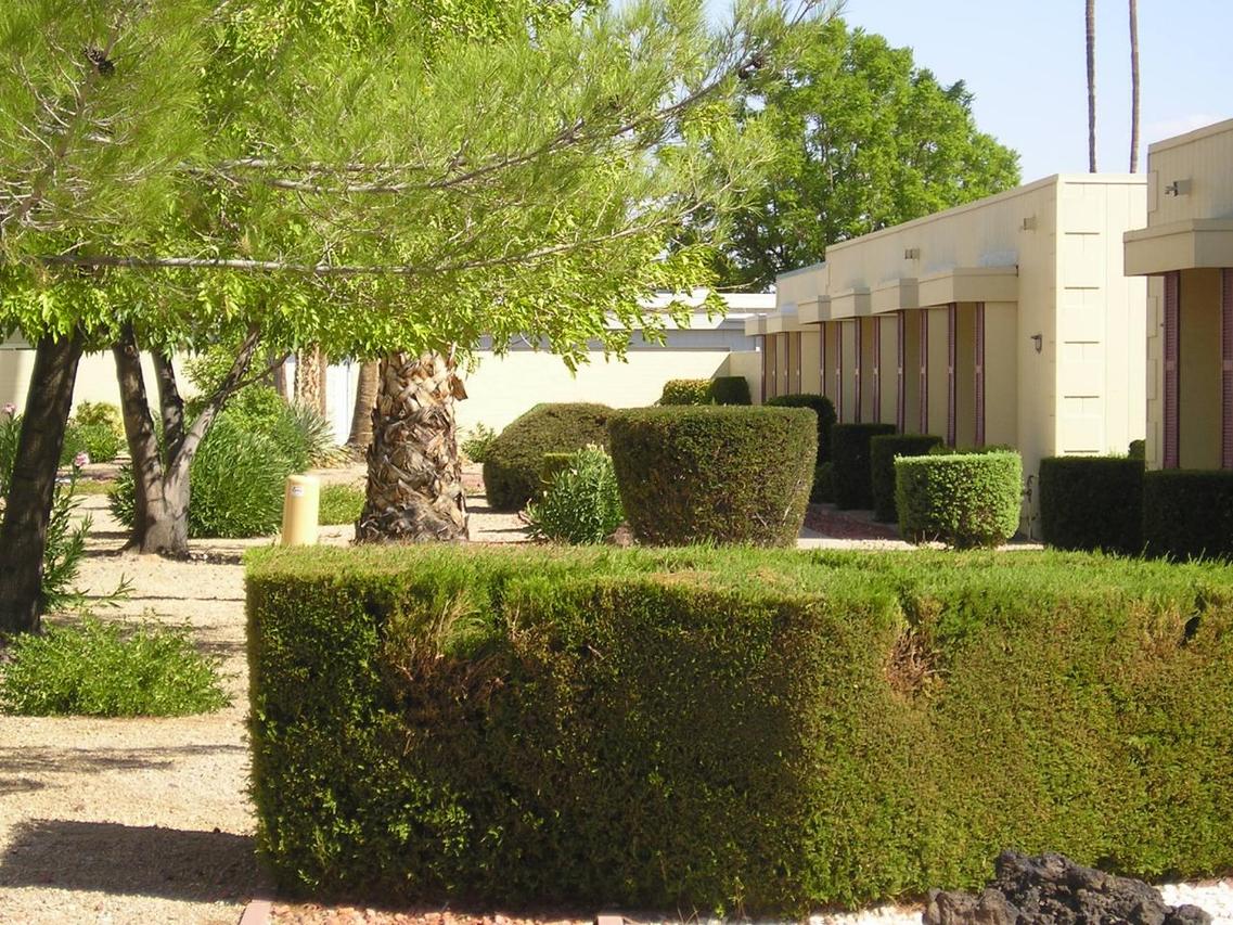 17245 N Del Webb Blvd., Sun City, AZ 85373
