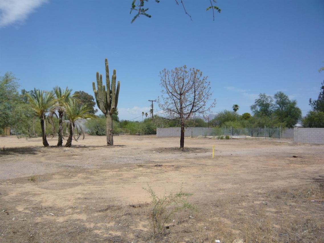 6602 E Cactus Rd. #25, Scottsdale, AZ 85254