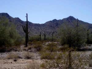 W Dune Shadow Rd. #2b, 2c, 2d, Maricopa, AZ 85239