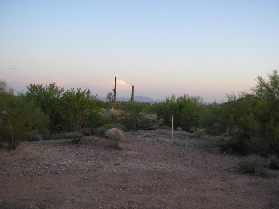 80XX E Rochelle St., Mesa, AZ 85207