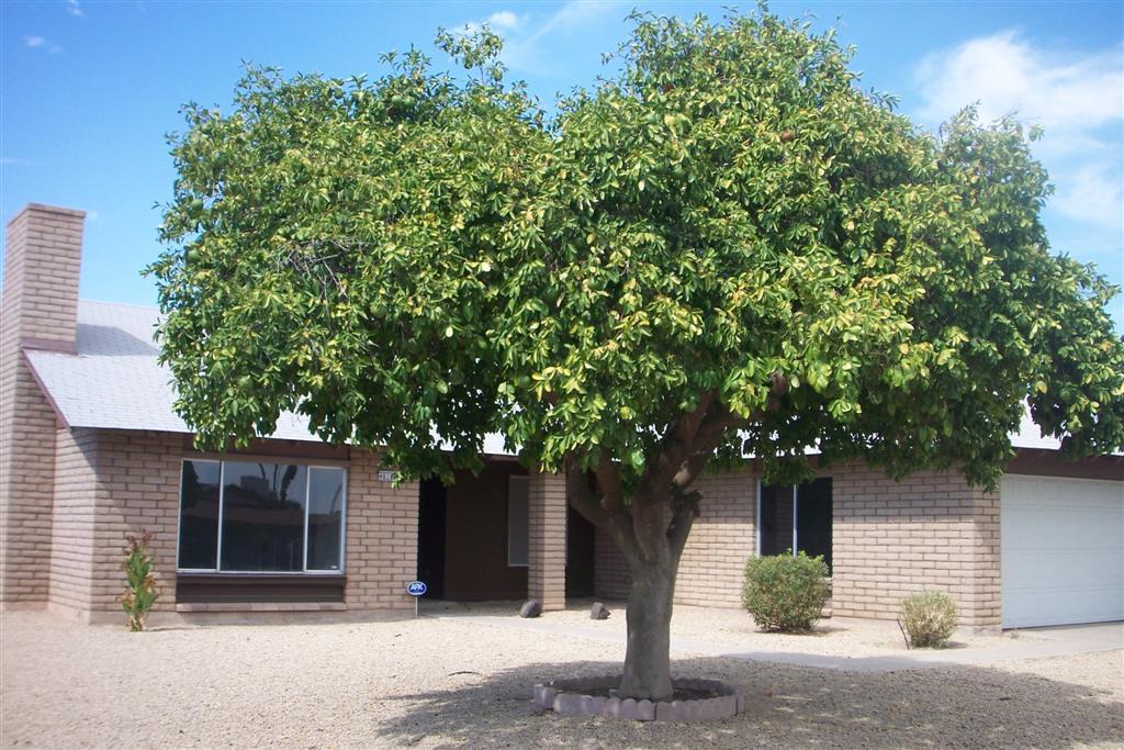 4618 W El Caminito Dr., Glendale, AZ 85302