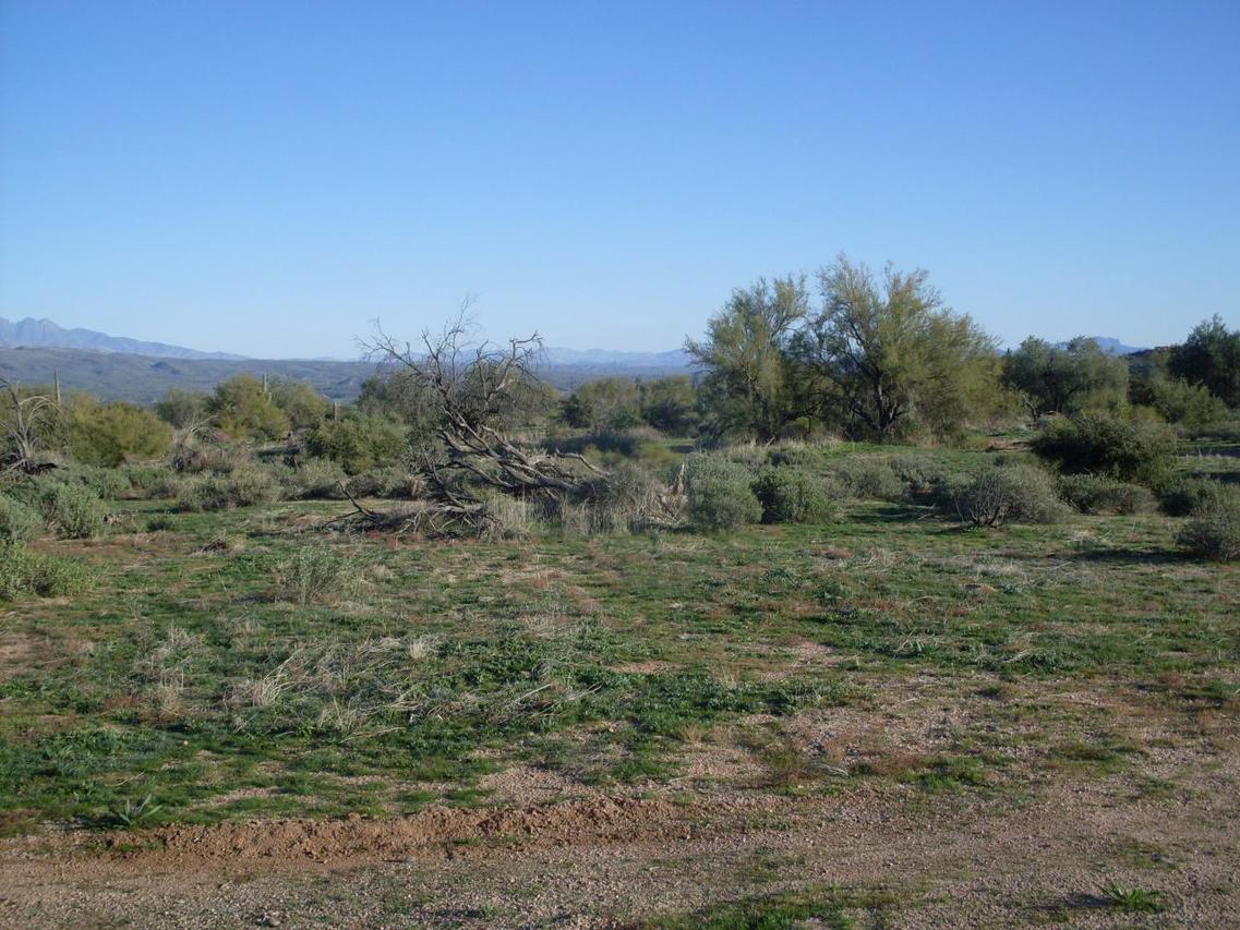 27400 N 160 St. #1, Scottsdale, AZ 85262