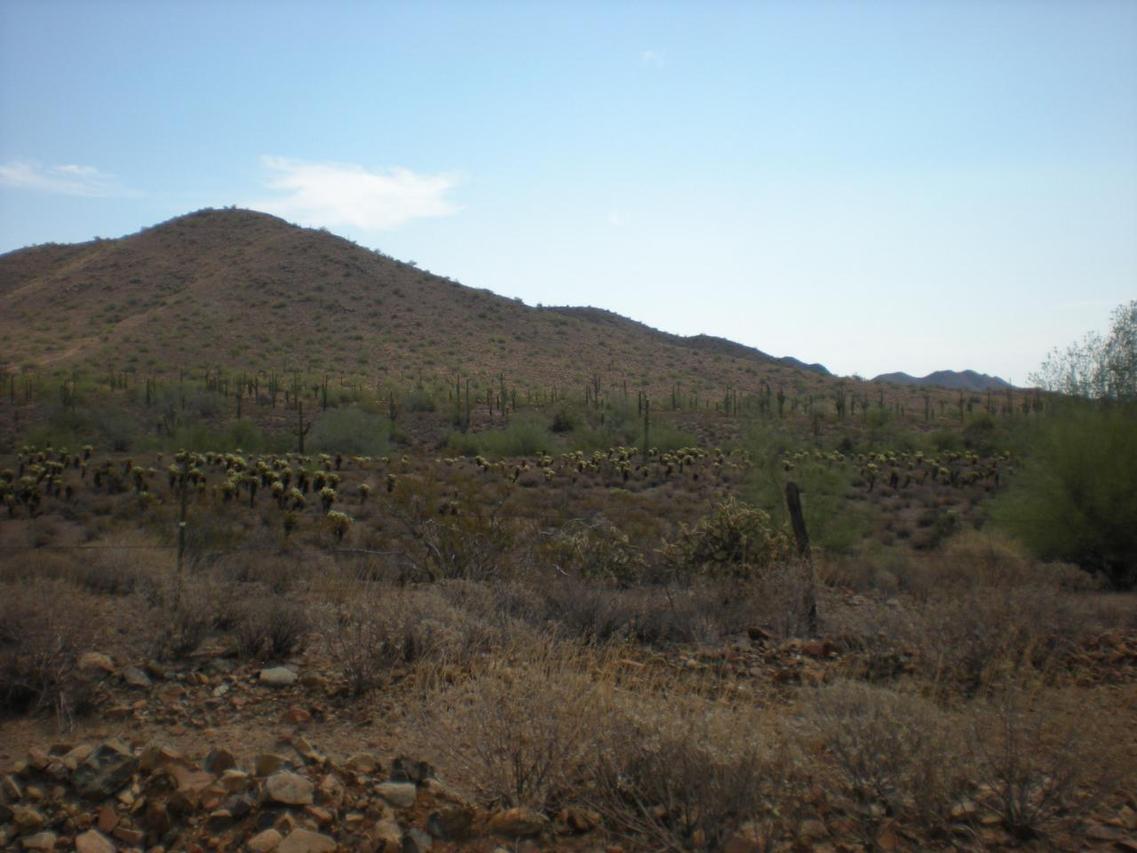 39916 N 12th St., Phoenix, AZ 85086