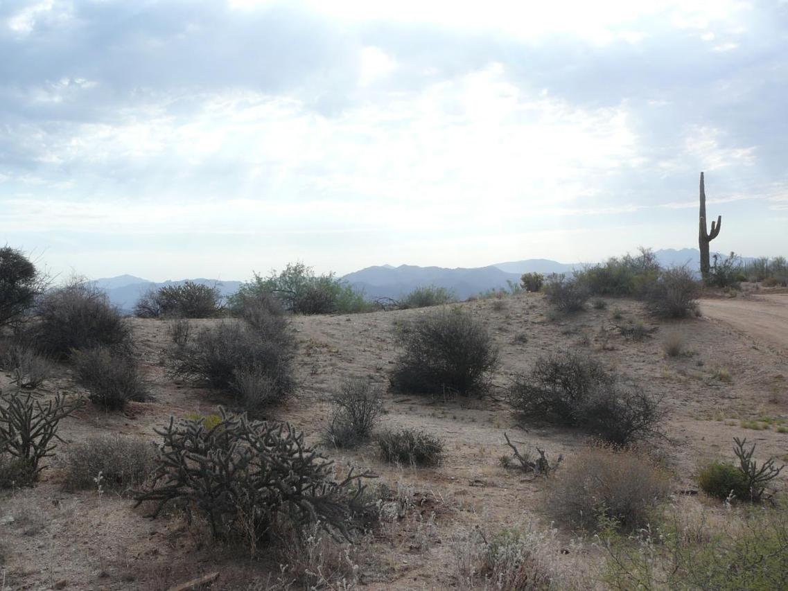 142XX E Aloe Vera Rd. #4, Scottsdale, AZ 85262