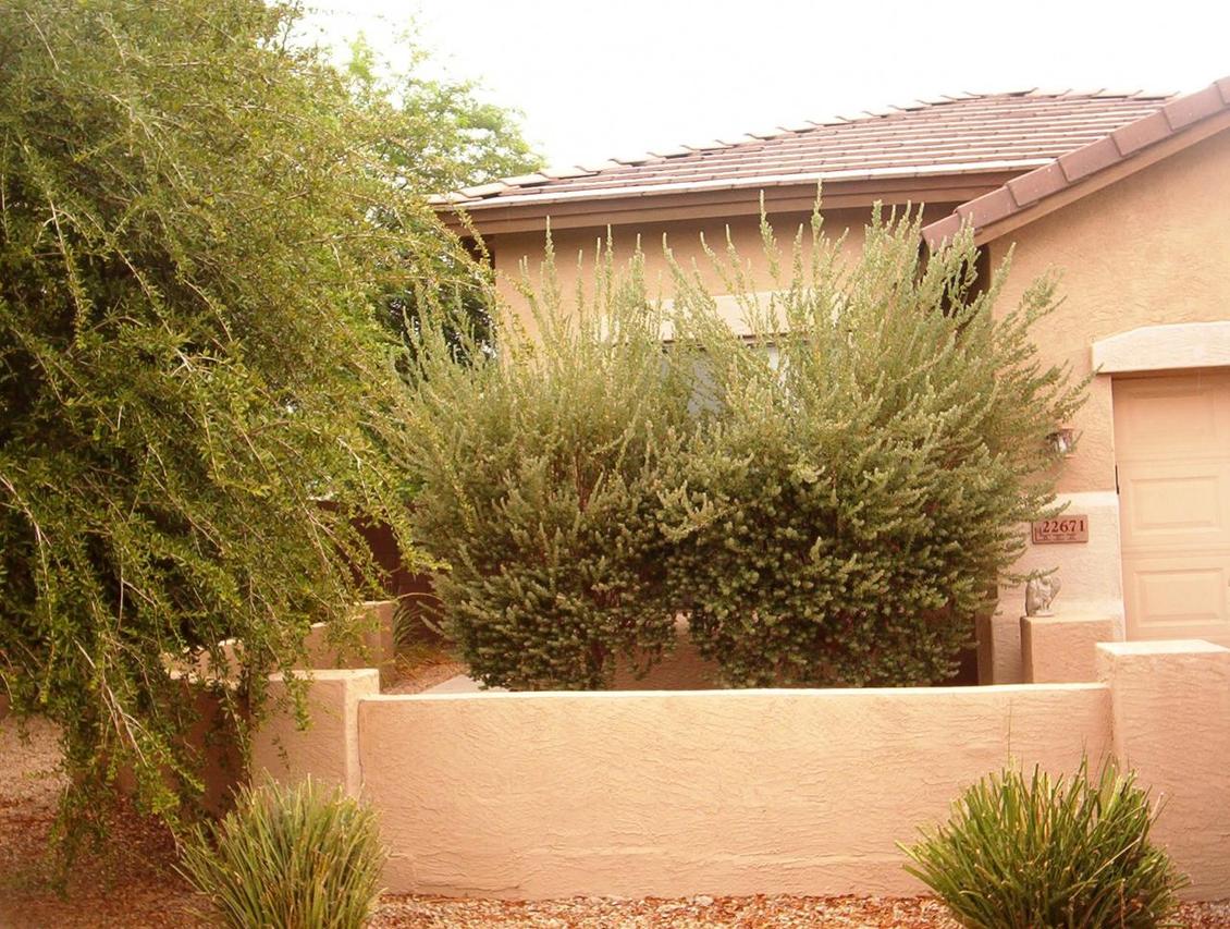 22671 S 210th St., Queen Creek, AZ 85242