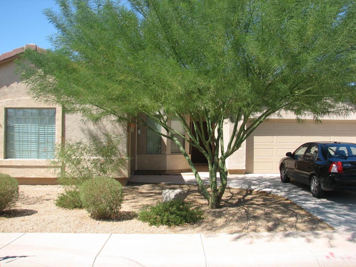 43368 W Palmen Dr., Maricopa, AZ 85138