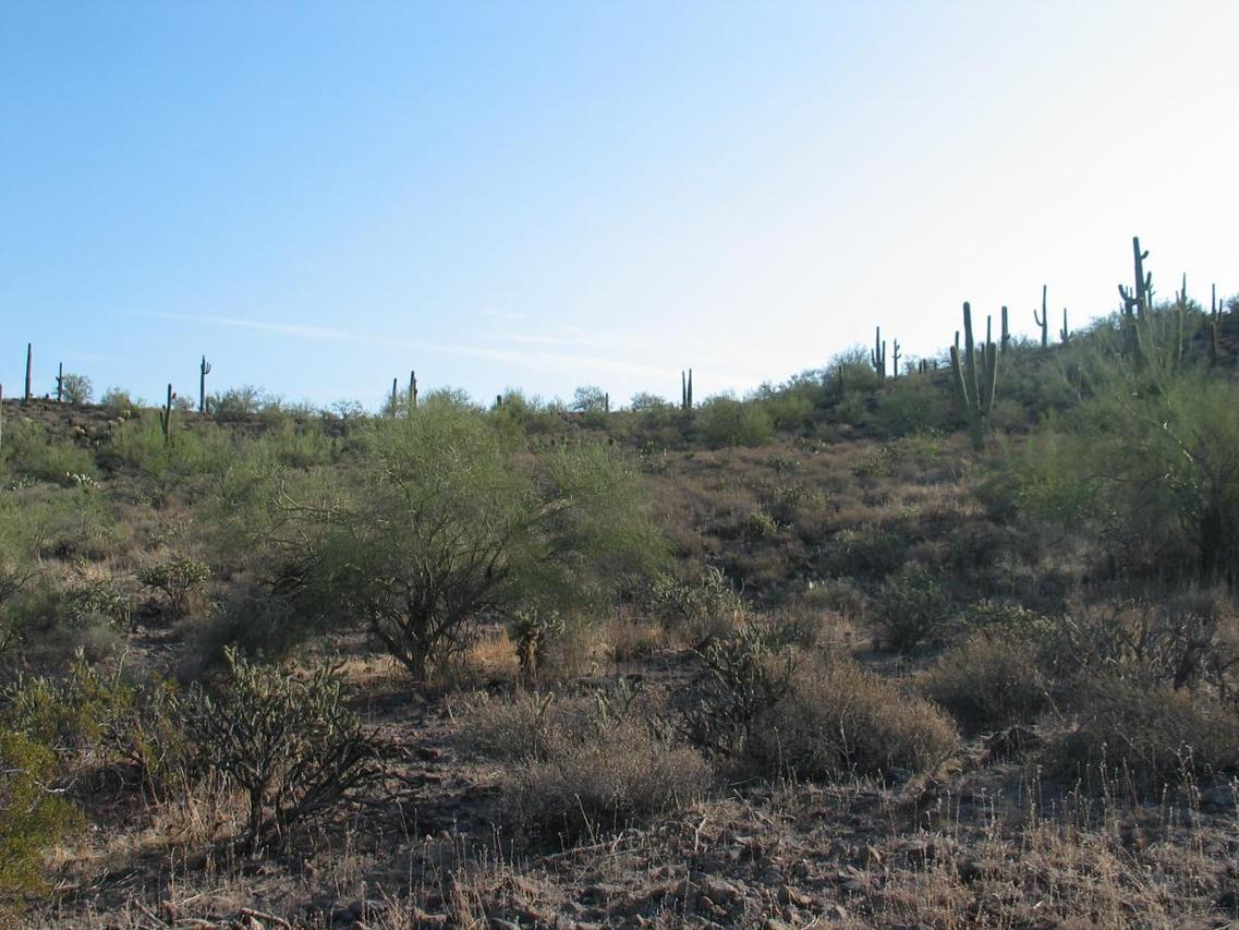 1713 E Mariola Way, New River, AZ 85087