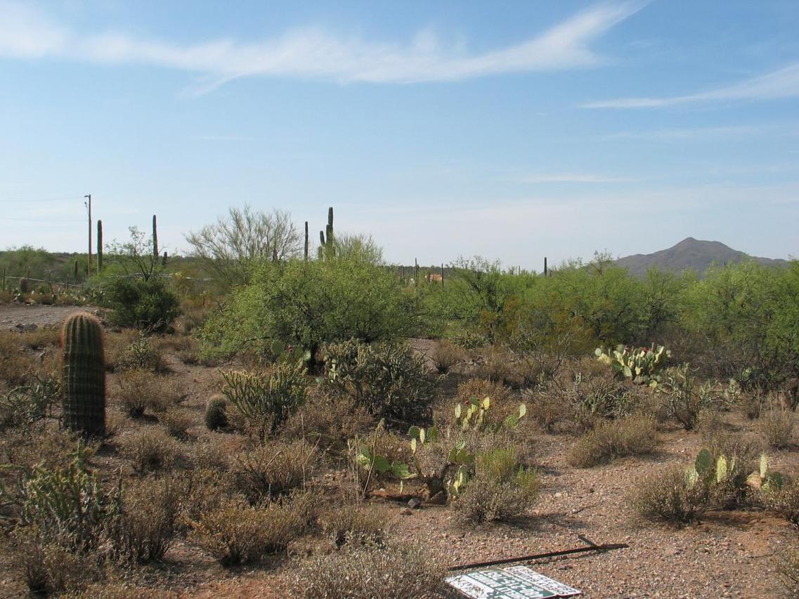 4xx N 1st Dr., New River, AZ 85087