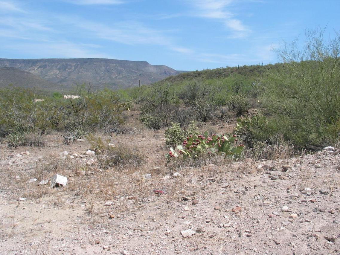 107 E Mingus Rd., New River, AZ 85087