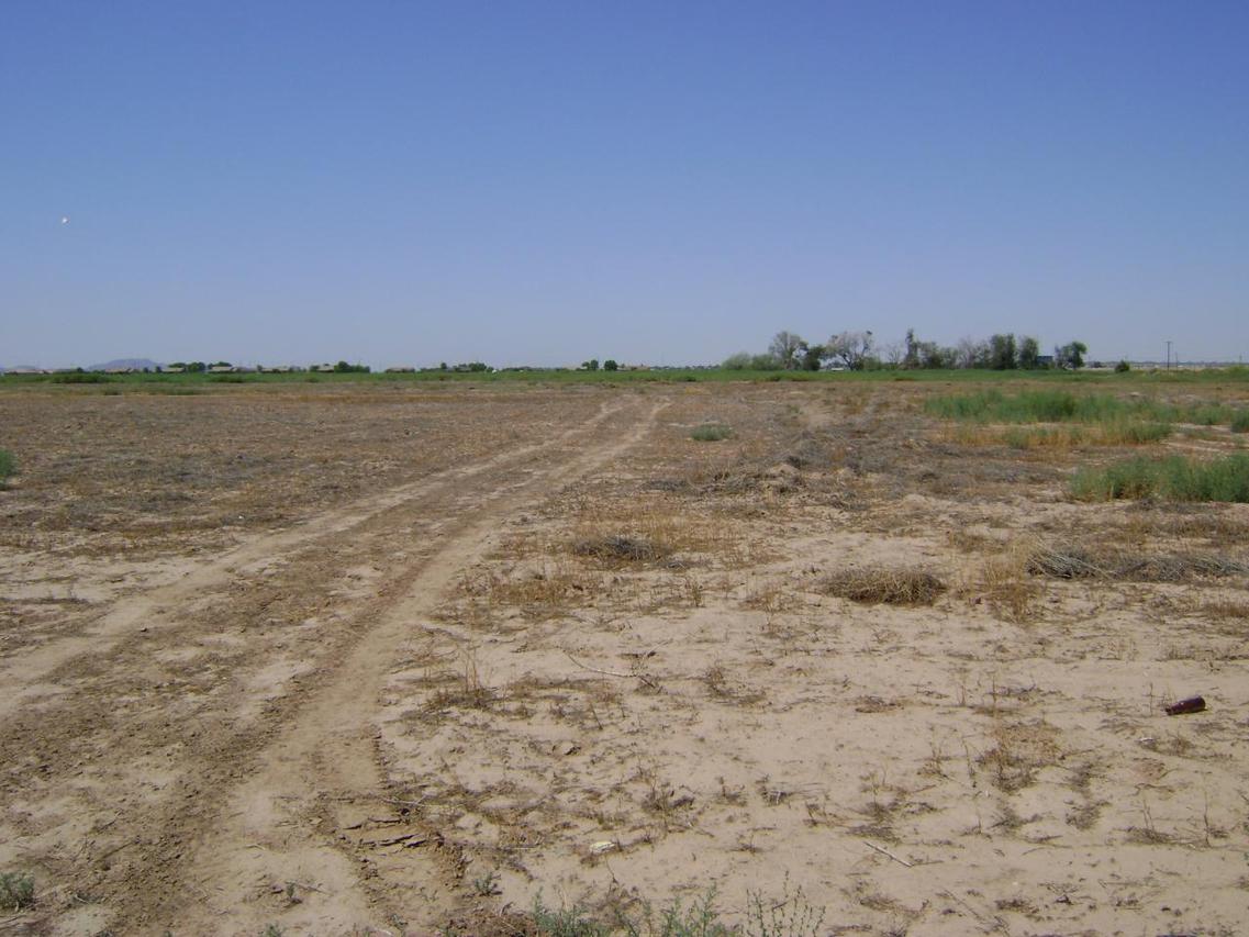 8000 S 222nd Ave., Buckeye, AZ 85326