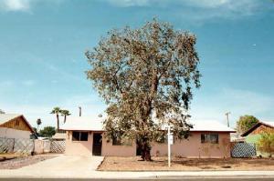 1072 S Mcdonald St., Mesa, AZ 85210