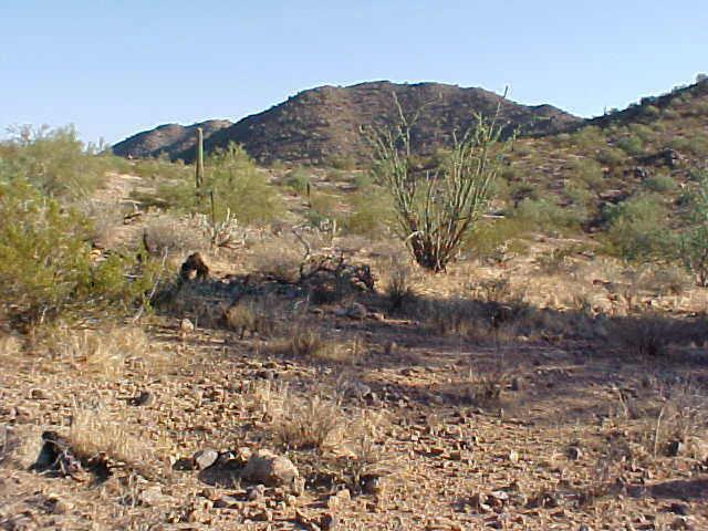 26851 N 87th Dr. #77, Peoria, AZ 85383