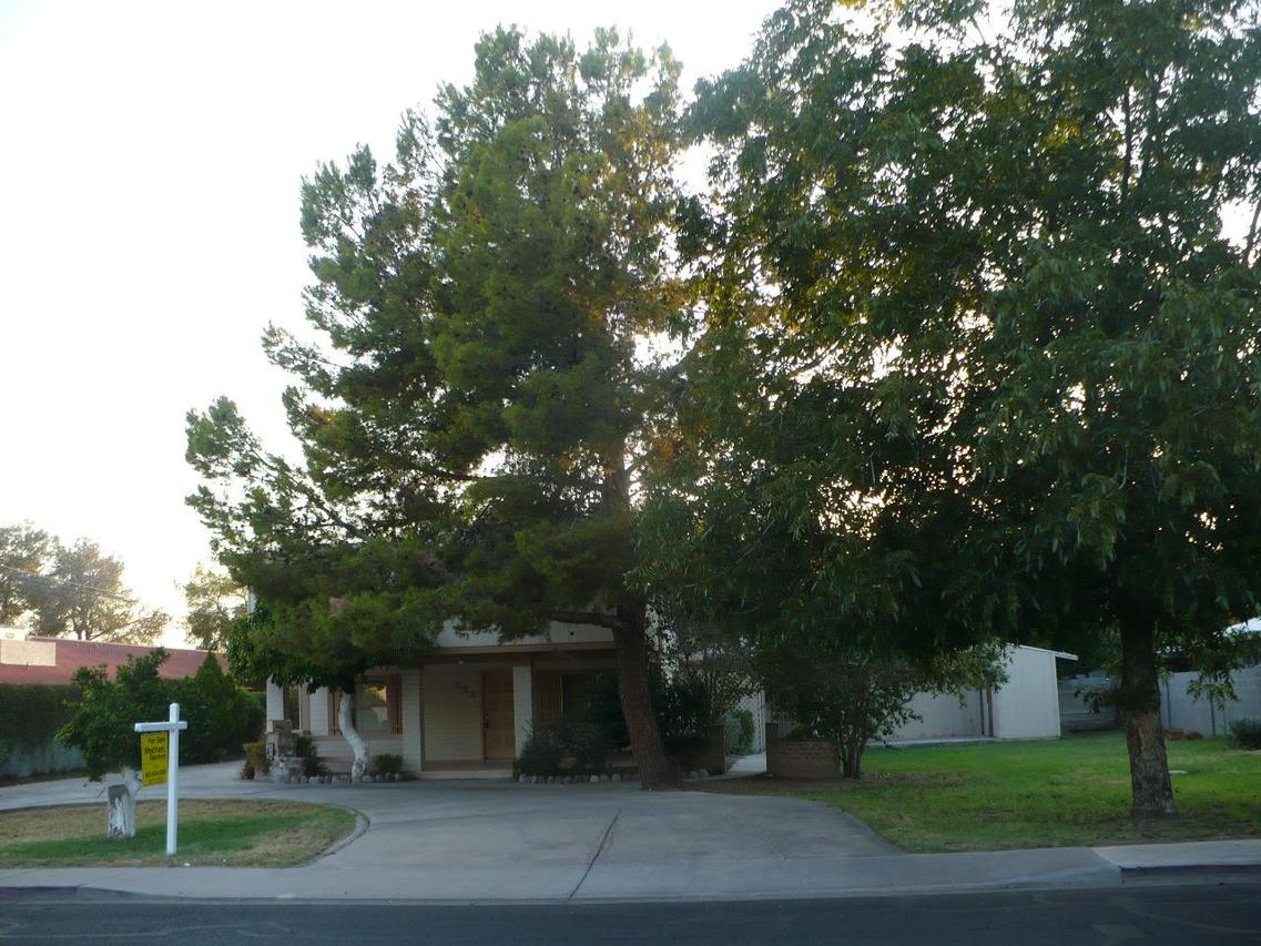 238 N Hobson Rd., Mesa, AZ 85203