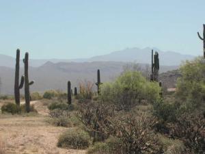 270XX N 168 St. #A, Scottsdale, AZ 85262