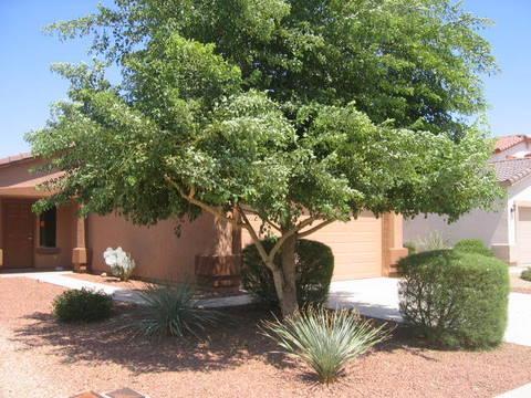1290 E Press Pl., Queen Creek, AZ 85140