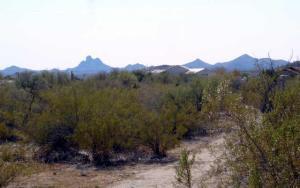 21415 W El Grande Trail #125, Wickenburg, AZ 85390
