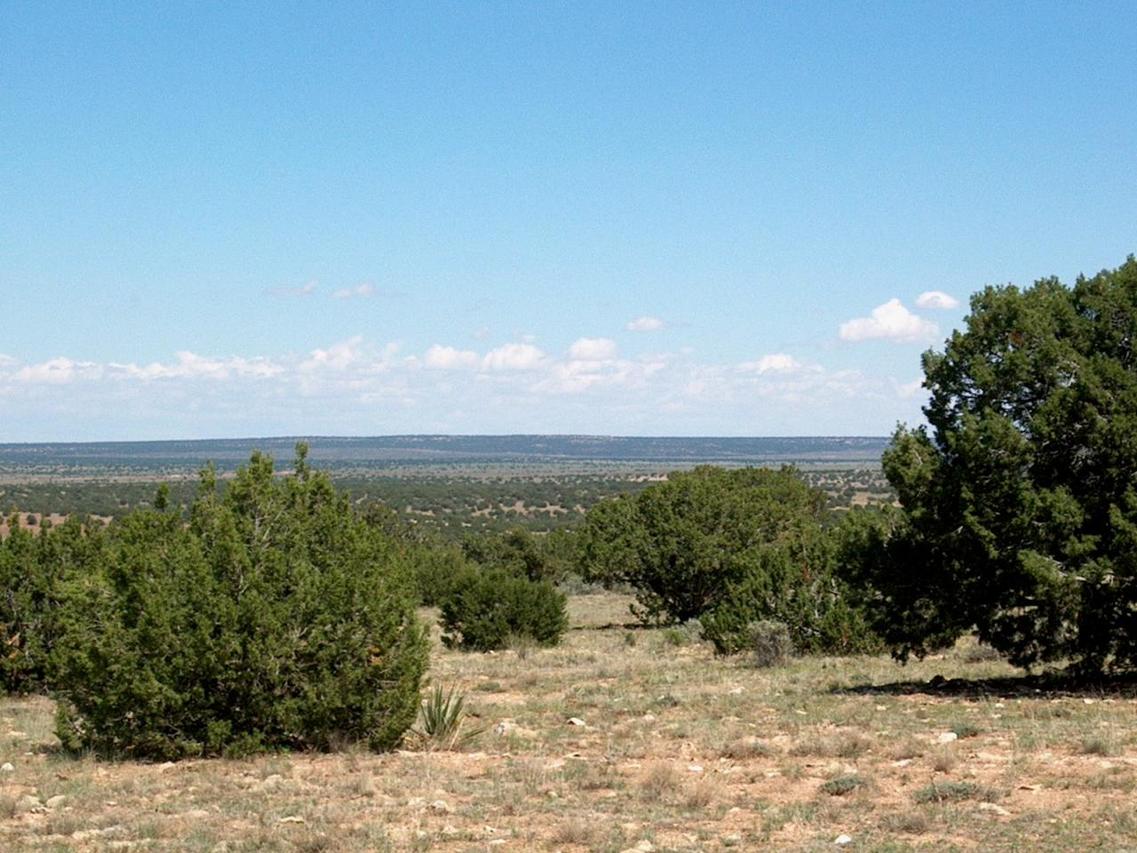 Sec. 9 Chevelon Retreat #056, Heber, AZ 85928