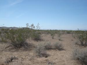 317xx- D W Yuma Rd. #32, Buckeye, AZ 85326