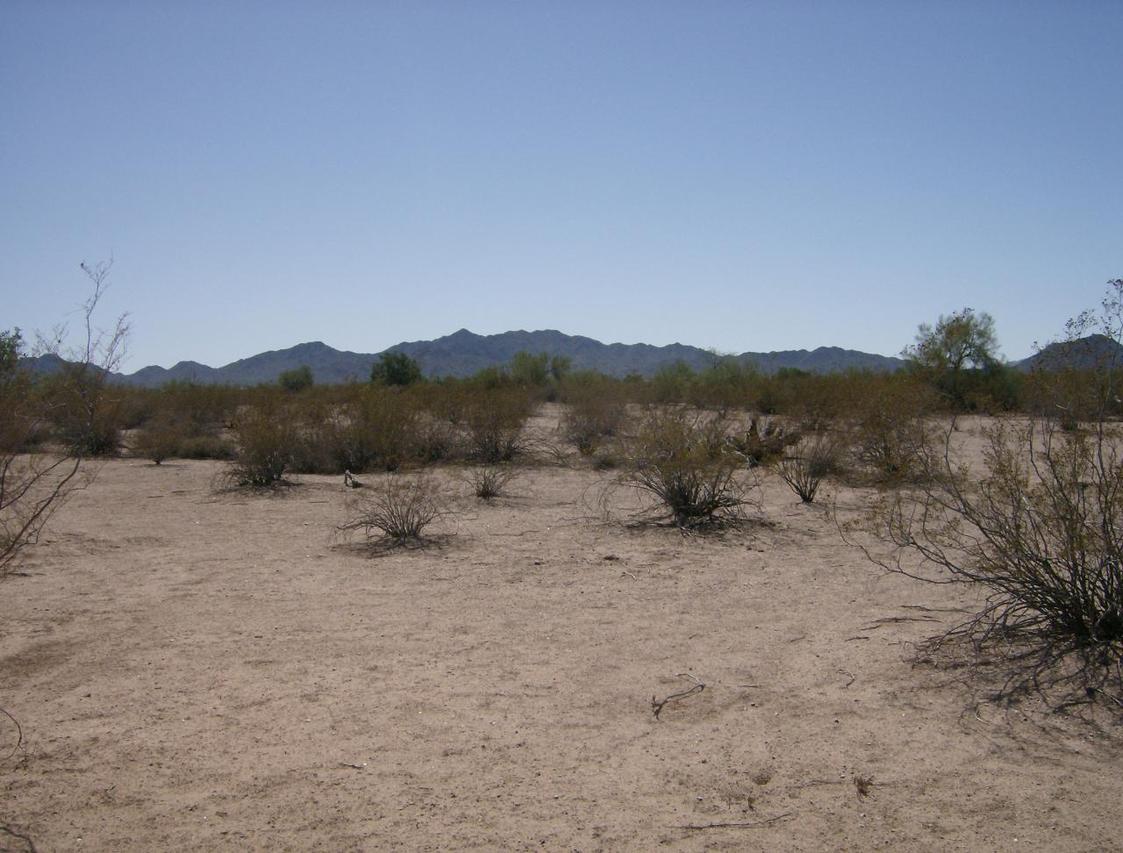 0.* N Appaloosa Rd. #23, Maricopa, AZ 85239