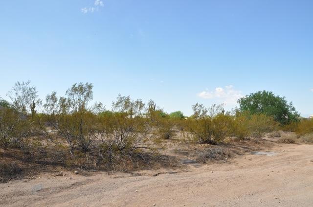 E Culver St., Mesa, AZ 85207