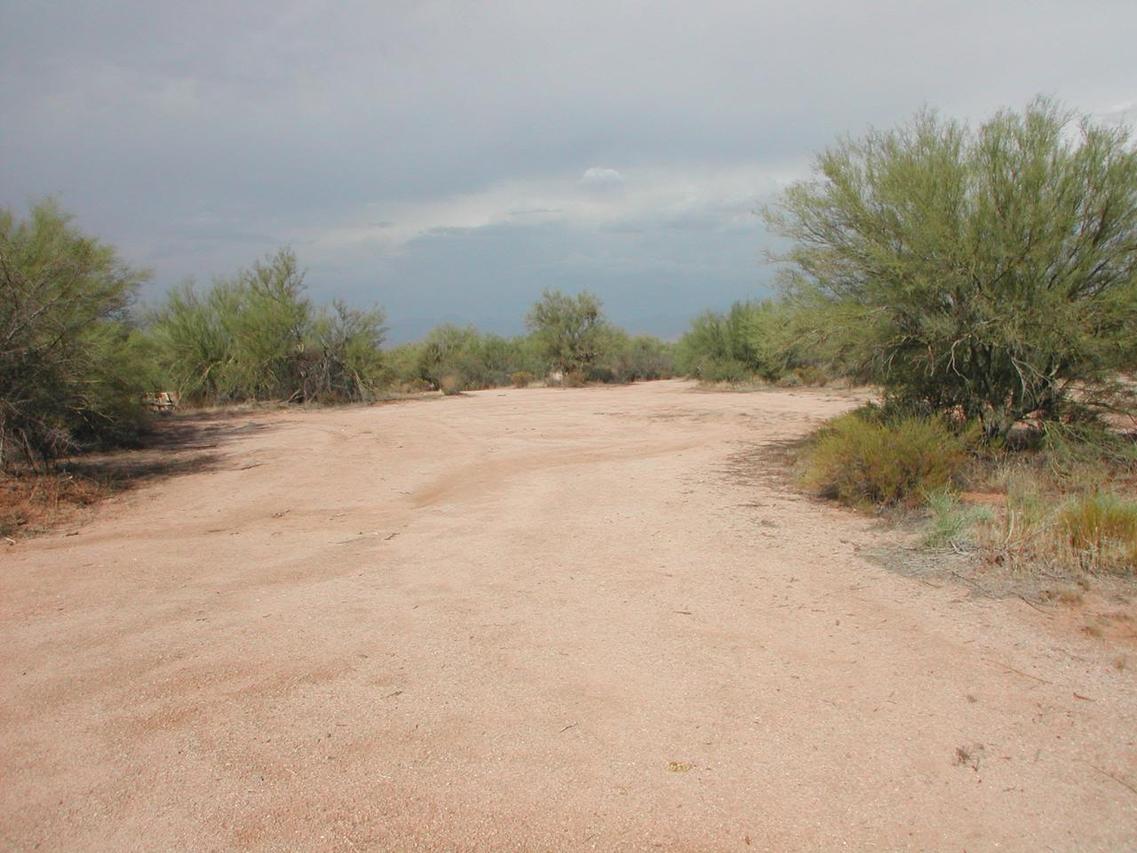 295xx N 158th St. #219-37-604C, Scottsdale, AZ 85262