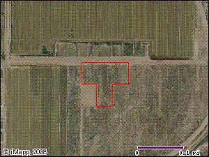 269XX W Hazen Rd., Buckeye, AZ 85326