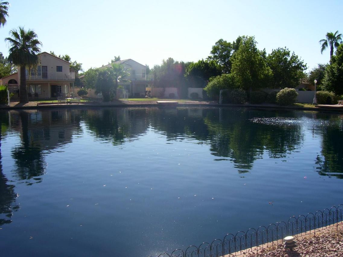 317 E Vaughn Ave., Gilbert, AZ 85234