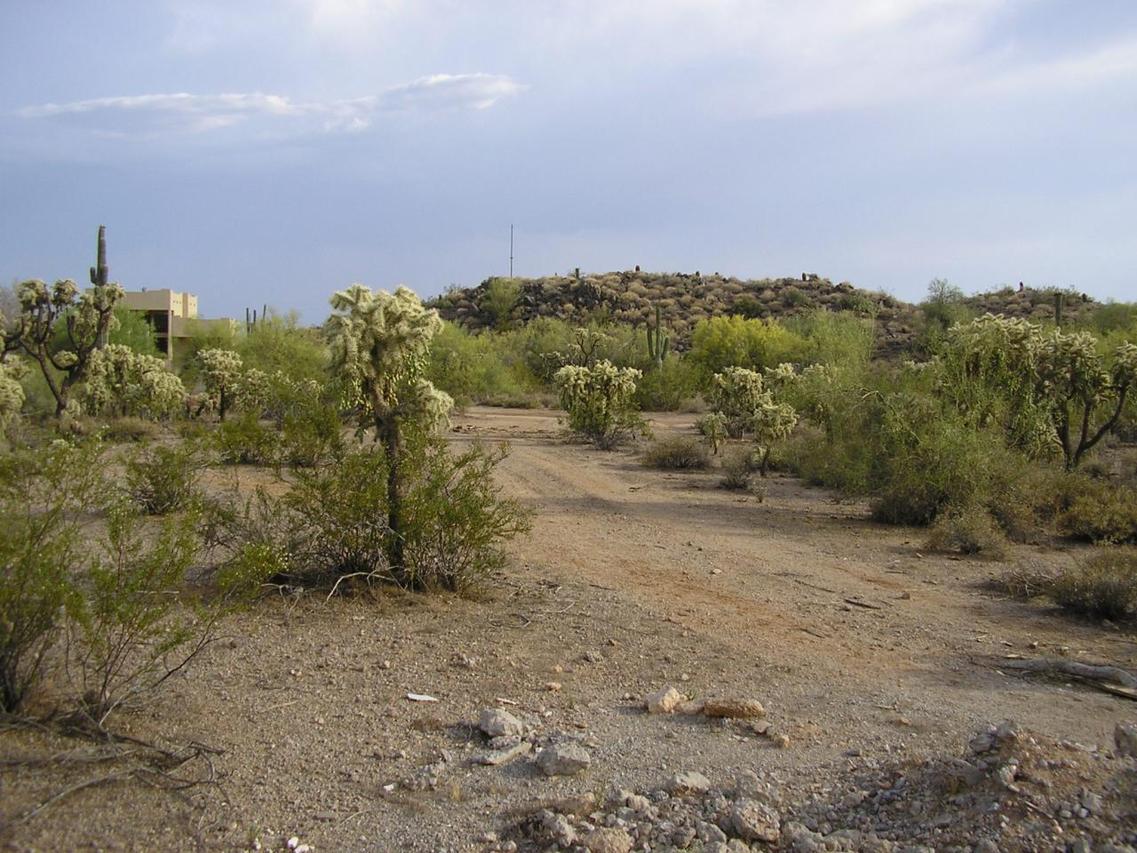 9999/10099 E Indigo St. #F, Mesa, AZ 85207