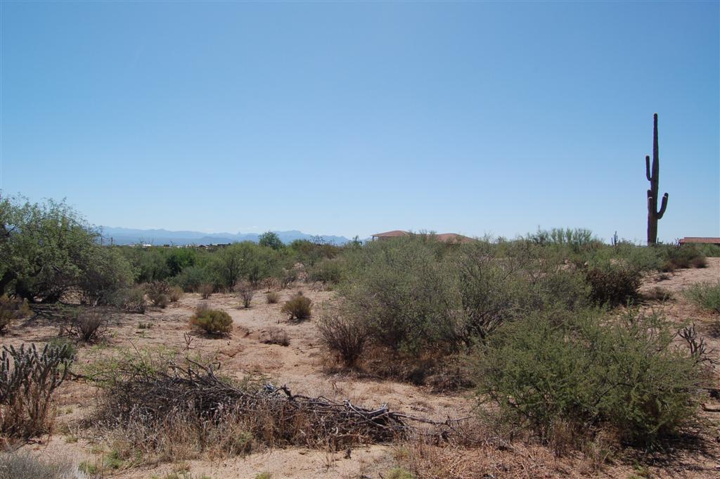 13800 E Westland Rd., Scottsdale, AZ 85262