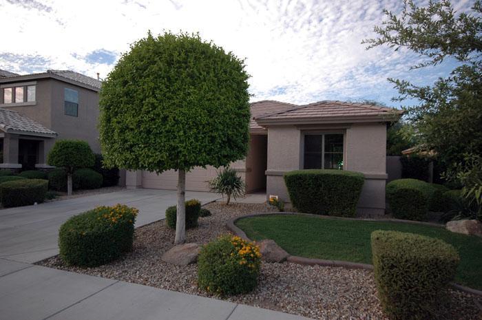 8816 W Preston Ln., Tolleson, AZ 85353