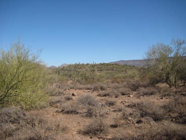 3xx E Circle Mountain Rd. #202-21-187, New River, AZ 85087
