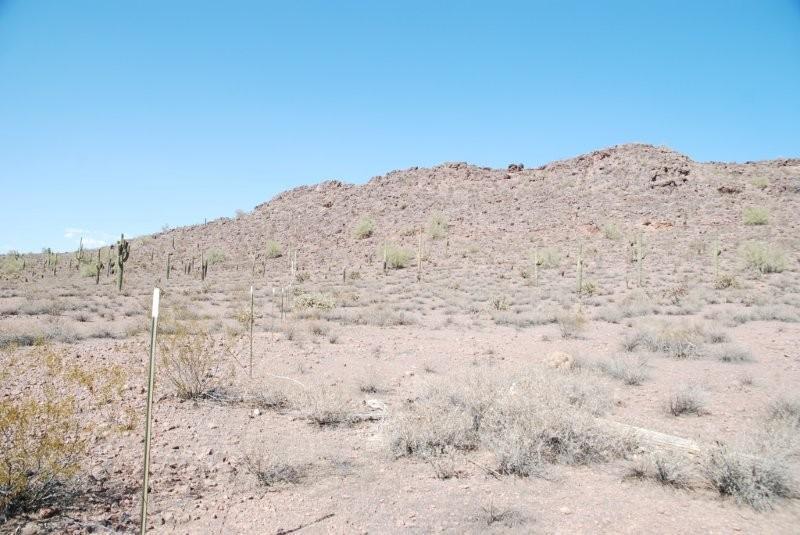 XXXX N 155 Ave. #503-52-186S, Surprise, AZ 85387