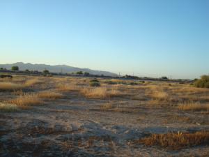 44xx S Dean Rd., Buckeye, AZ 85326