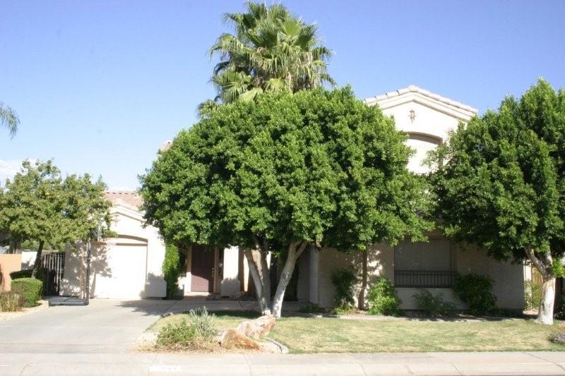 541 S Bahama Dr., Gilbert, AZ 85296