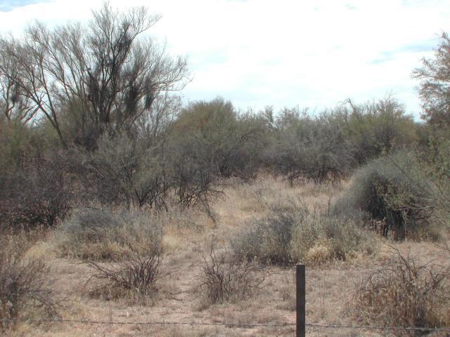 15990 E Monument Dr. #219-37-582E, Scottsdale, AZ 85262