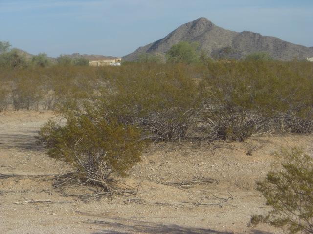 12532 W Hopi Dr., Casa Grande, AZ 85194