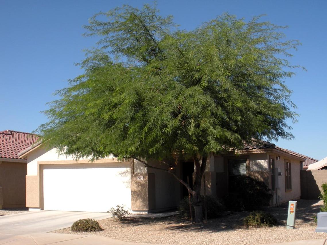 2408 W Roeser Rd., Phoenix, AZ 85041