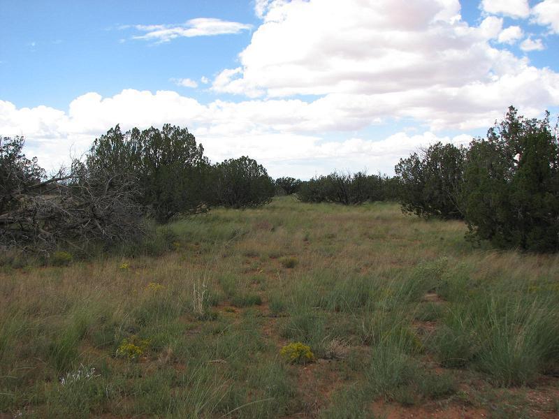 Sec.6 Chevelon Retreat #015, Heber, AZ 85928